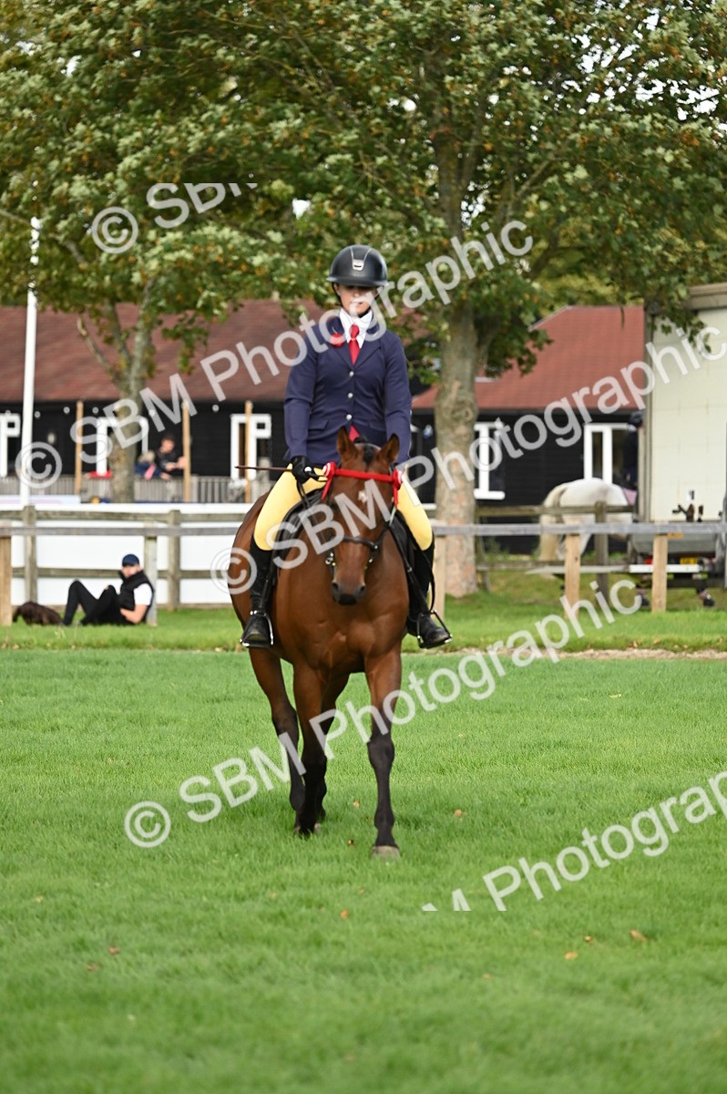SBM_26386 - S6 - Novice & newcomer Ridden horse