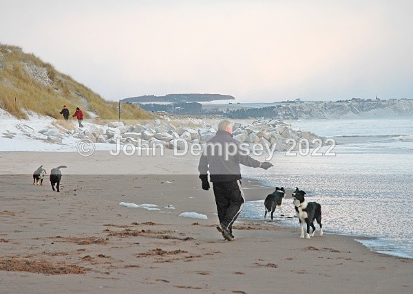 Ready To Run - Walking the Dog