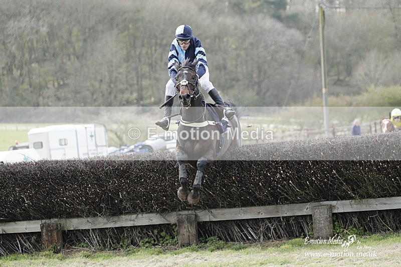 PtP 080423 259 - Dingley Races The Woodland Pytchley Hunt PtP 08/04/23