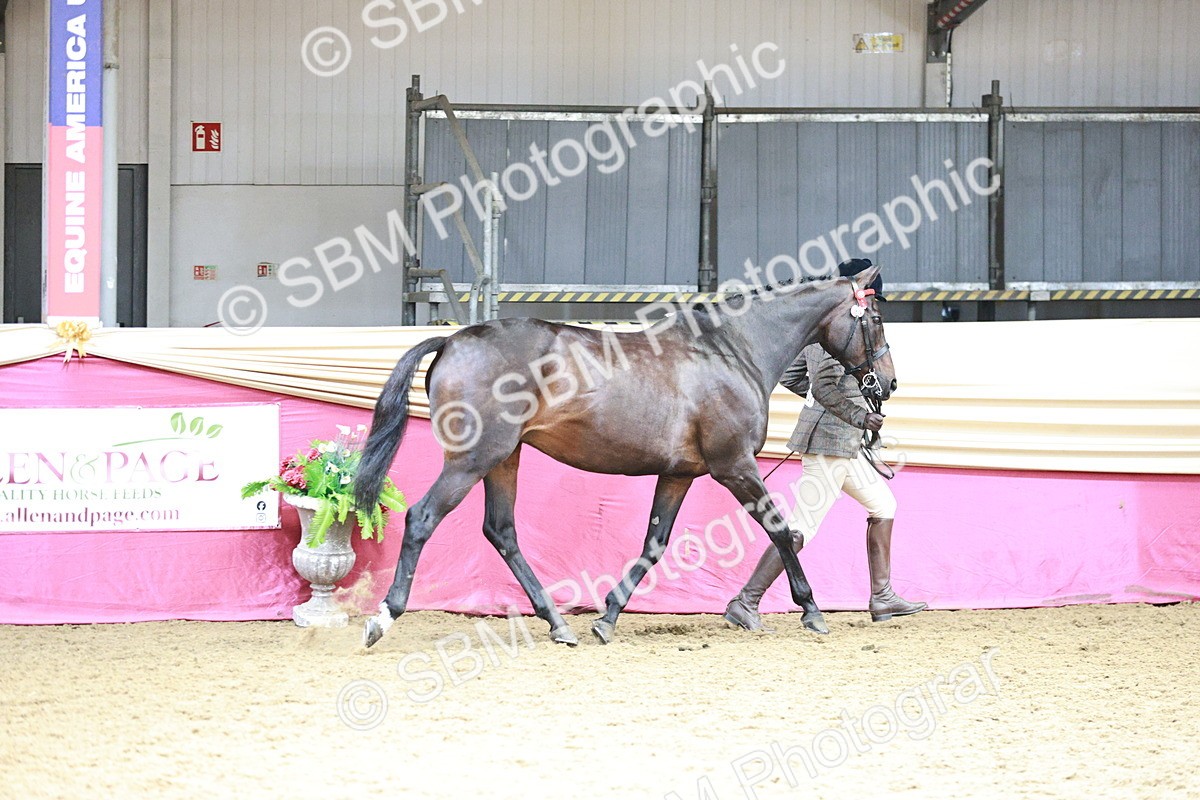 SBM_04668 - Class 7R - Regional IH Diamond