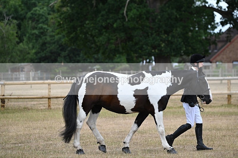 WJ6_7829 - Class 10 Coloured in Hand