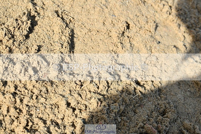 251004A-112443-00612 - Classes 4 & 5 50cm