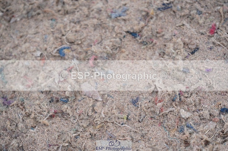 250607-140634-01270 - Cls 34 Stepping Stones