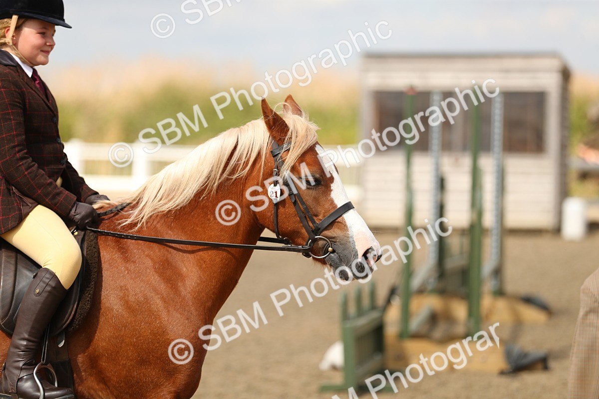 SBM_04734 - Class 46b Style & Performance 50cm (20+)