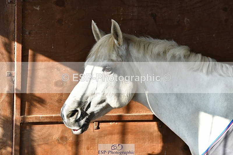 230817-082531-02385 - Stable Shots