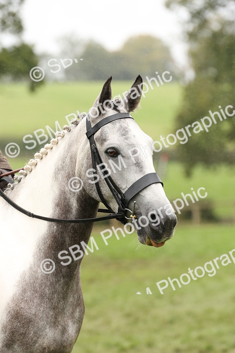 SBM_69900 - S68 - Other Coloured Horse Ridden