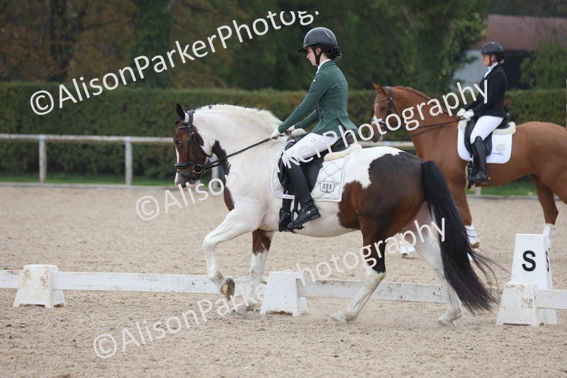 20251012-0702 - Class 6 - Elementary 6