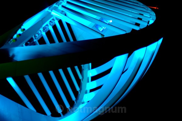 Spinnaker Belly - NIGHT TIME