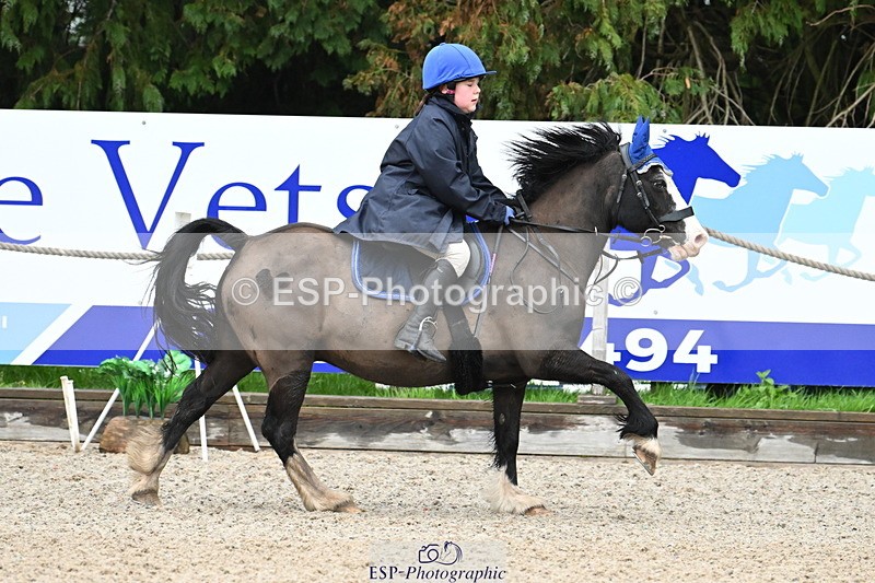 250418A-081053-00036 - NSEA GR 40cm and 50cm