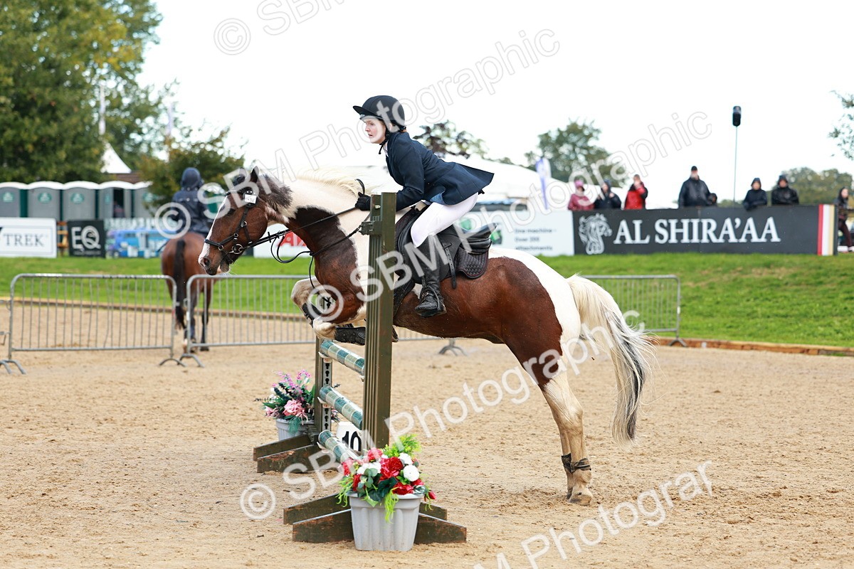 SBM_37752 - J39 - Senior Horse & Pony 85cm Championship