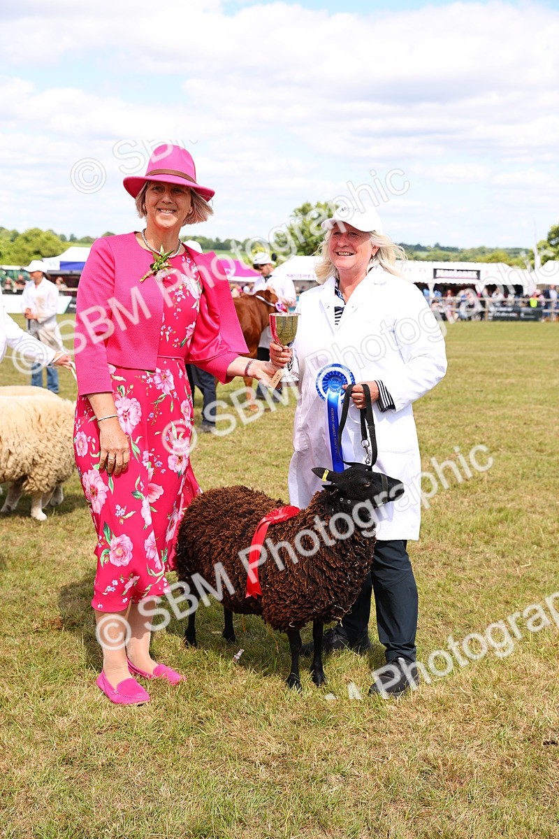 SBM_17011 - Grand Parade