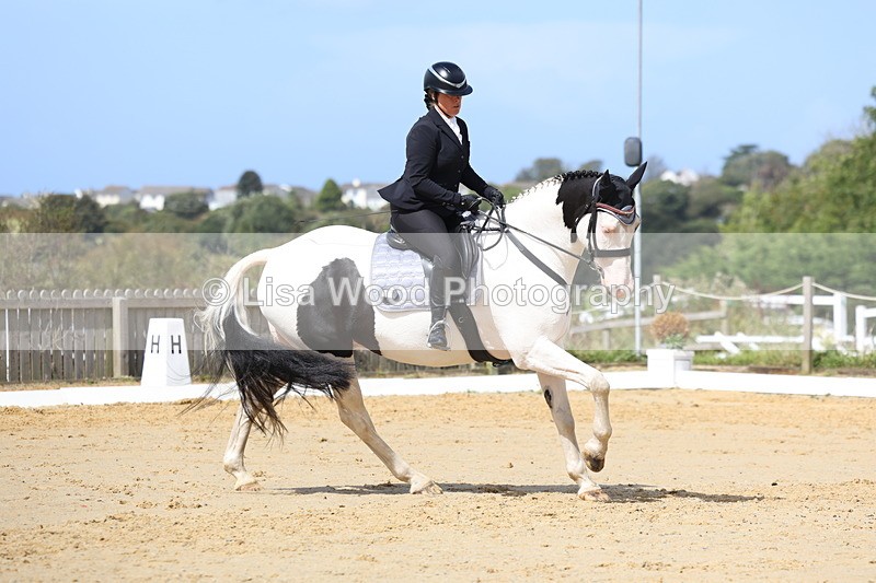 3E7A4082 - Class 9: Novice 6 Section B Championship