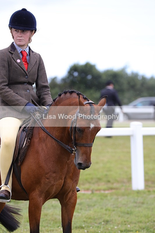 1X9A4457 - Class 34: Veteran Ridden