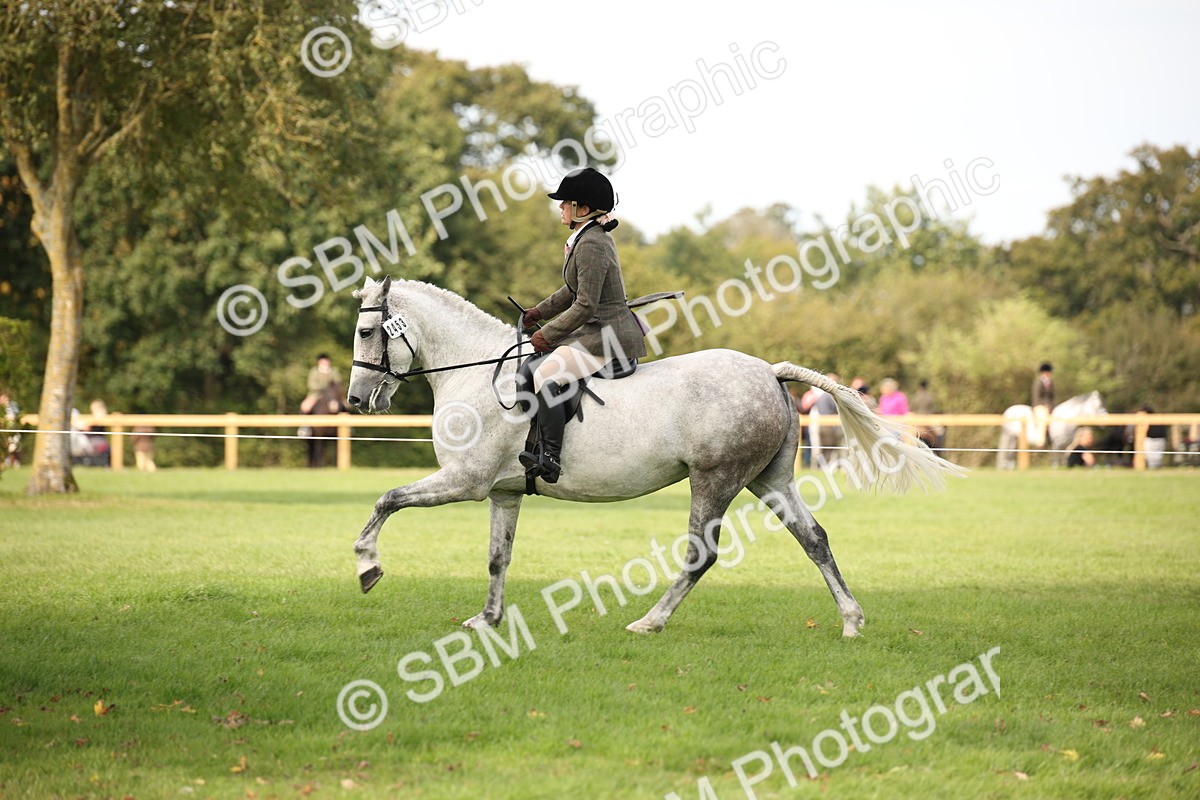 SBM_70403 - S66 - Hunter Ridden