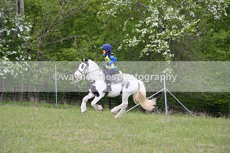 WJ6_1946 - Group 8 A&B Cameras