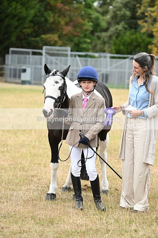 WJ6_8486 - Class 10 Coloured in Hand