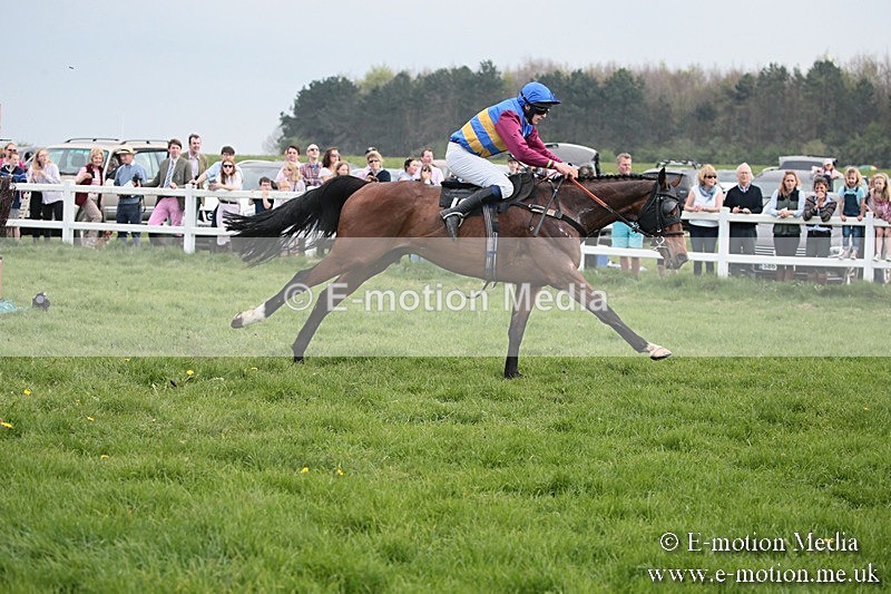 PtP 210418 385 - South & West Wilts Point-to-Point Larkhill 21/04/18
