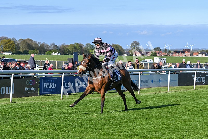 240425-Race 8-Kimeko Glory-1948 - Race 8