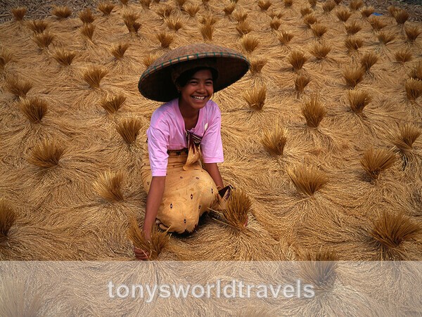 Woman Smiling in rice field Ubud, Bali ,Indonesia - Smiling faces of the World