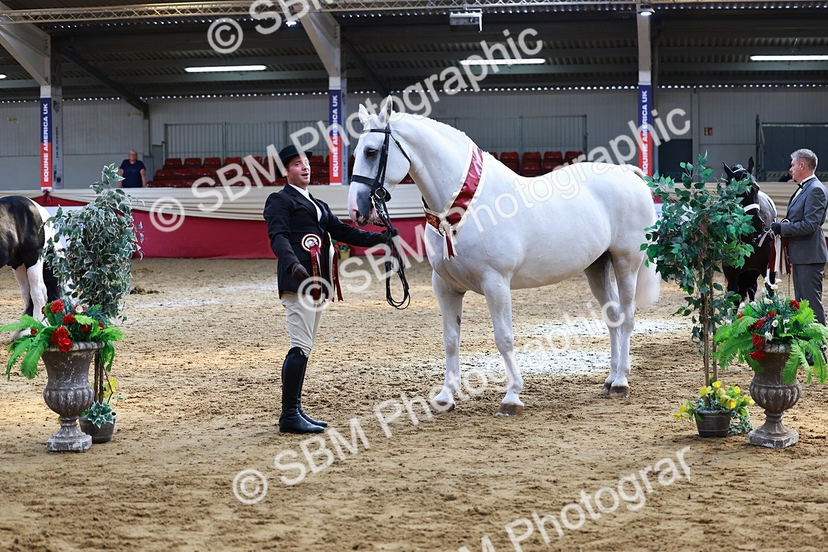 SBM_23296 - Class 903 - Supreme Final - IH Pre Vet