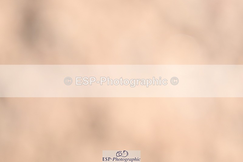 240622A-090914-06716 - Cls 23 BD Prelim 19