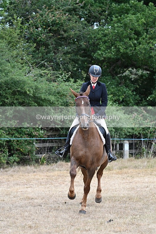 WJ7_0832 - Class 7 Riding Club Show Horse