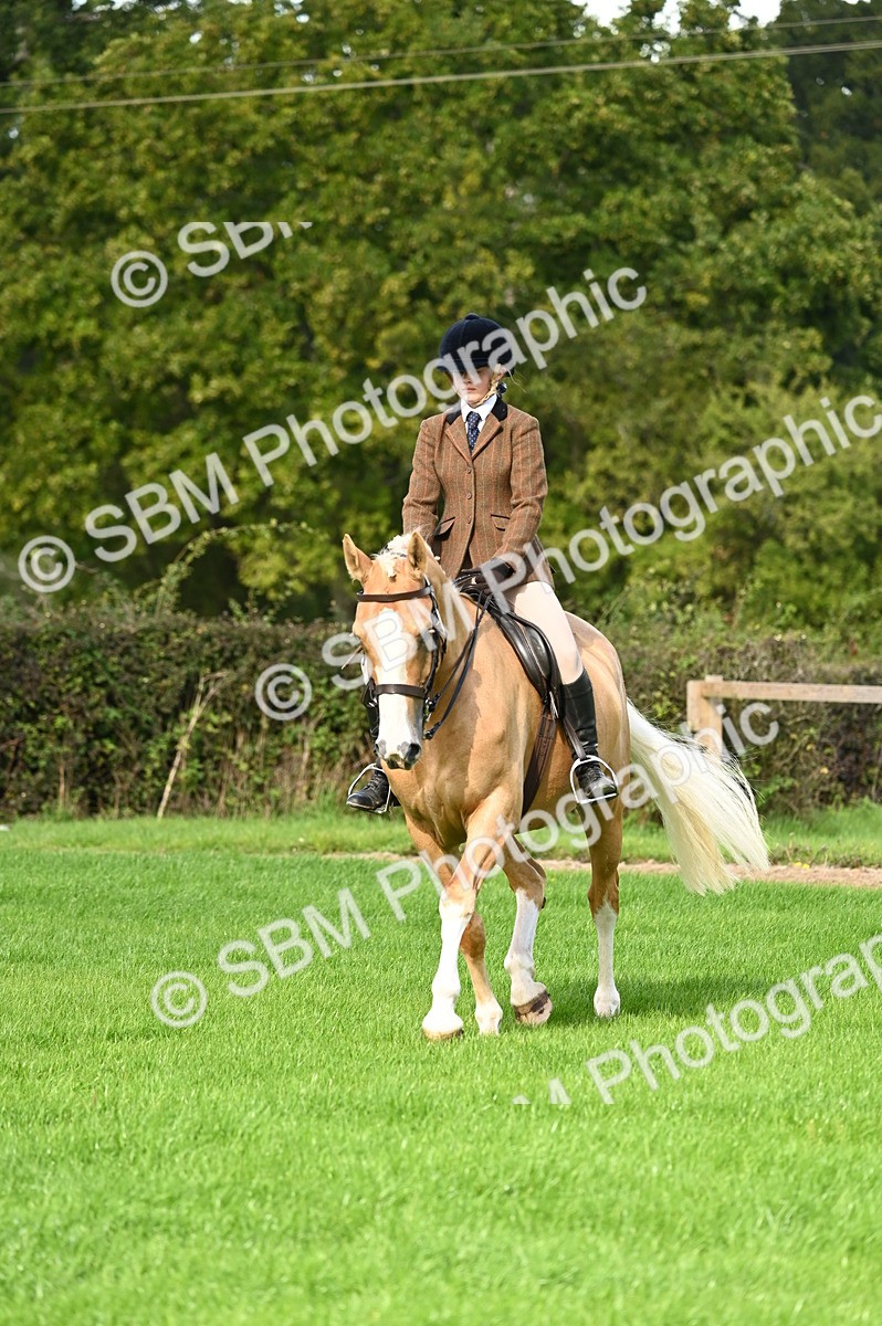 SBM_01702 - S2 - TSR Ridden Horse Showing