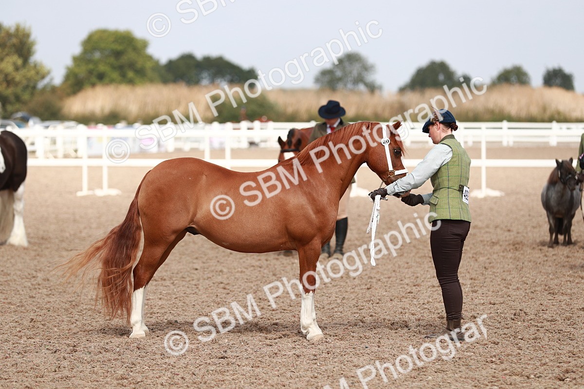 SBM_13927 - Class 209 IH Veteran Pony