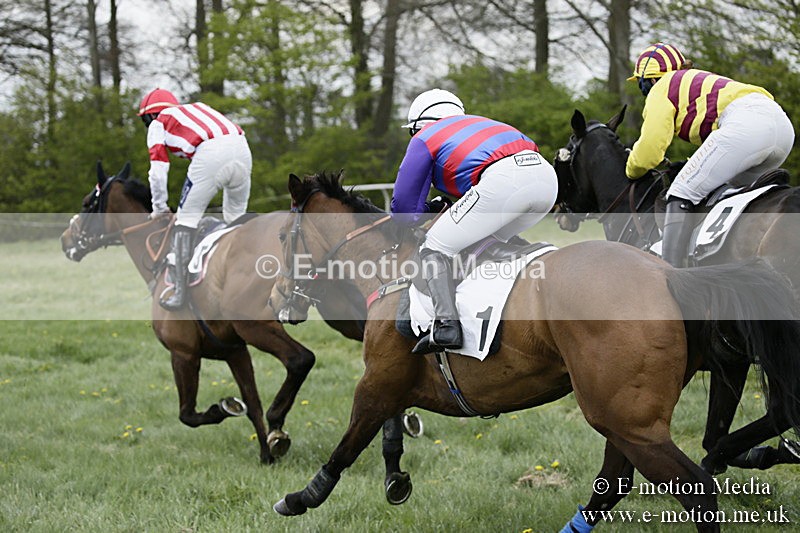 PtP 170417 460 - Old Berks Point-to-Point Lockinge 17/04/17