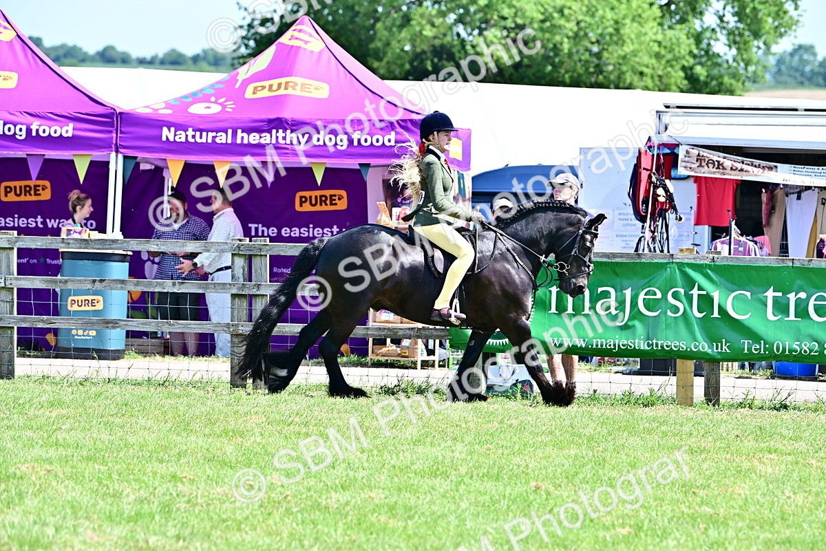 SBM_13996 - Class 95-97 - BSPS LHS Performance Ponies