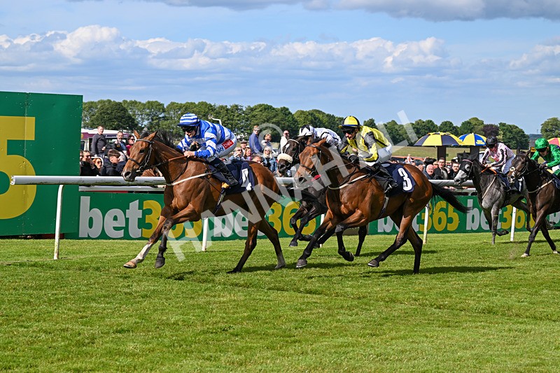 080624-Race 7-This Years Love-2057 - Race 7