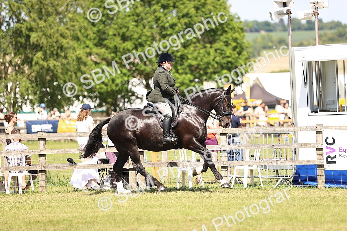 SBM_17907 - Class 81-83 - TSR Ridden Amateur of the Year - Horses