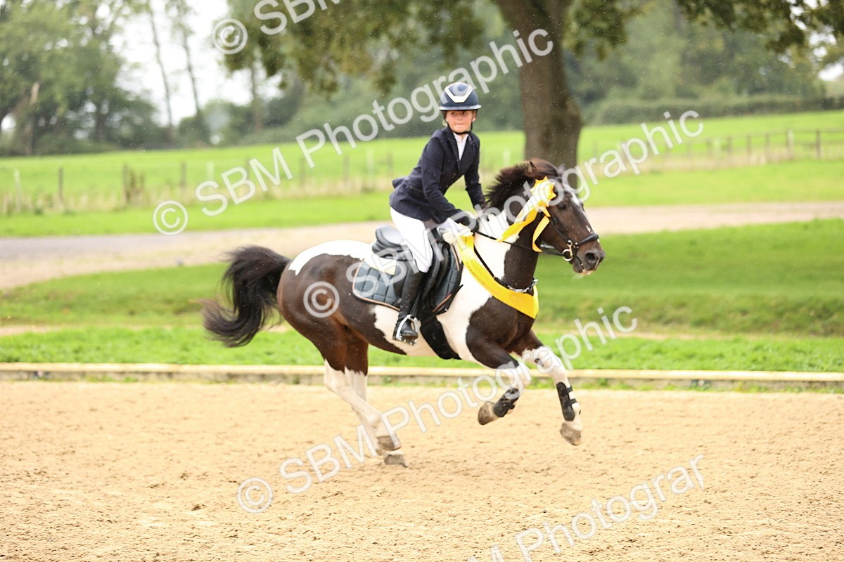 SBM_69052 - J18 - Junior Pony 85cm championship