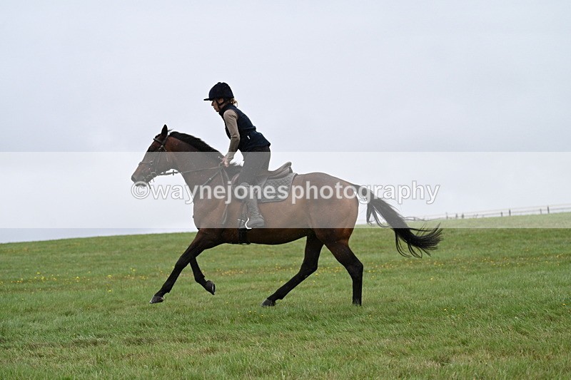 WJ7_9033 - Time 13:31 to 14:00