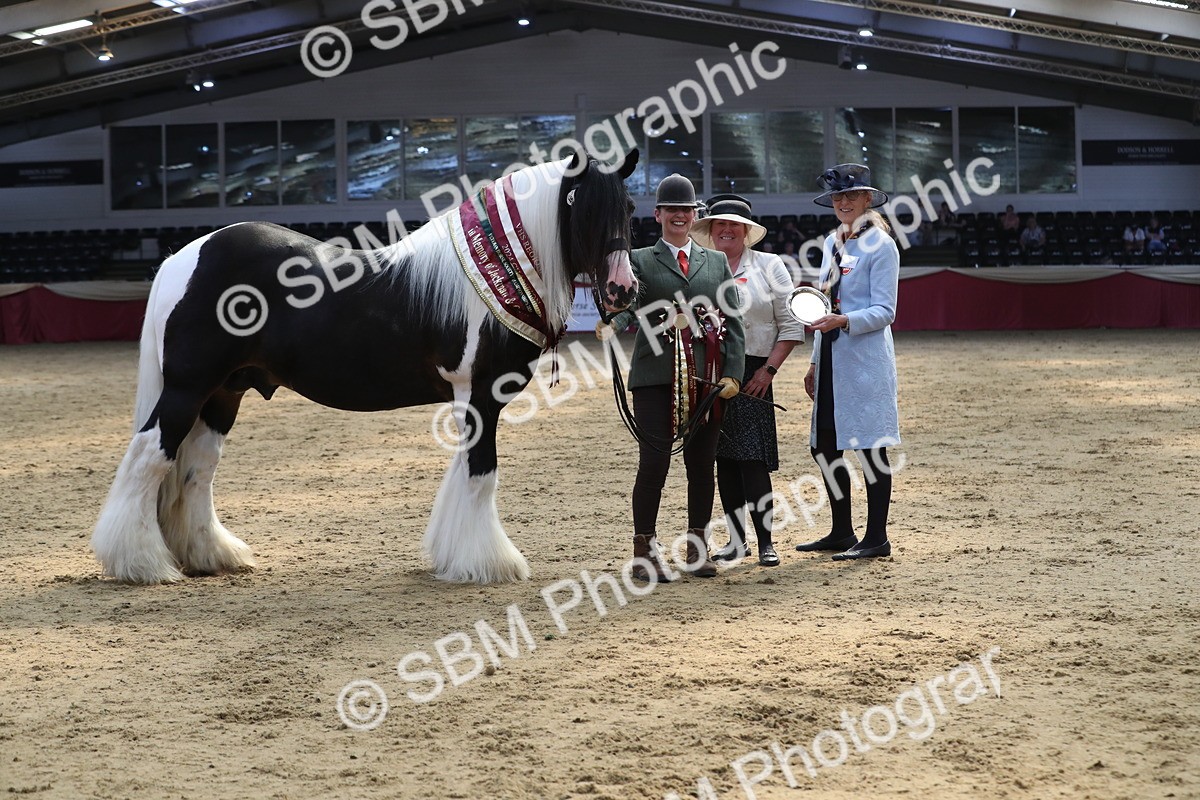 SBM_06583 - Regional IH Champ