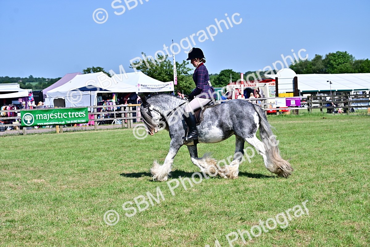 SBM_19367 - Class 101-102 - BSPS LIHS Performance Coloured Horse/Pony