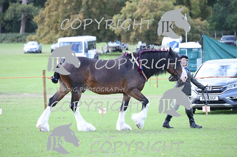 APP_3323 - Class 4 Veterans