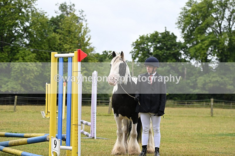 WJ6_8924 - Class 10 Coloured in-hand