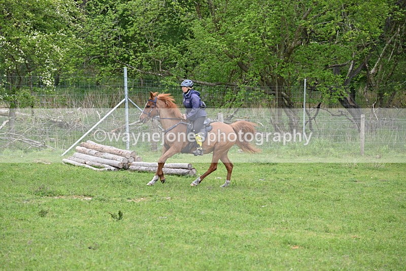 WJ6_3217 - A camera