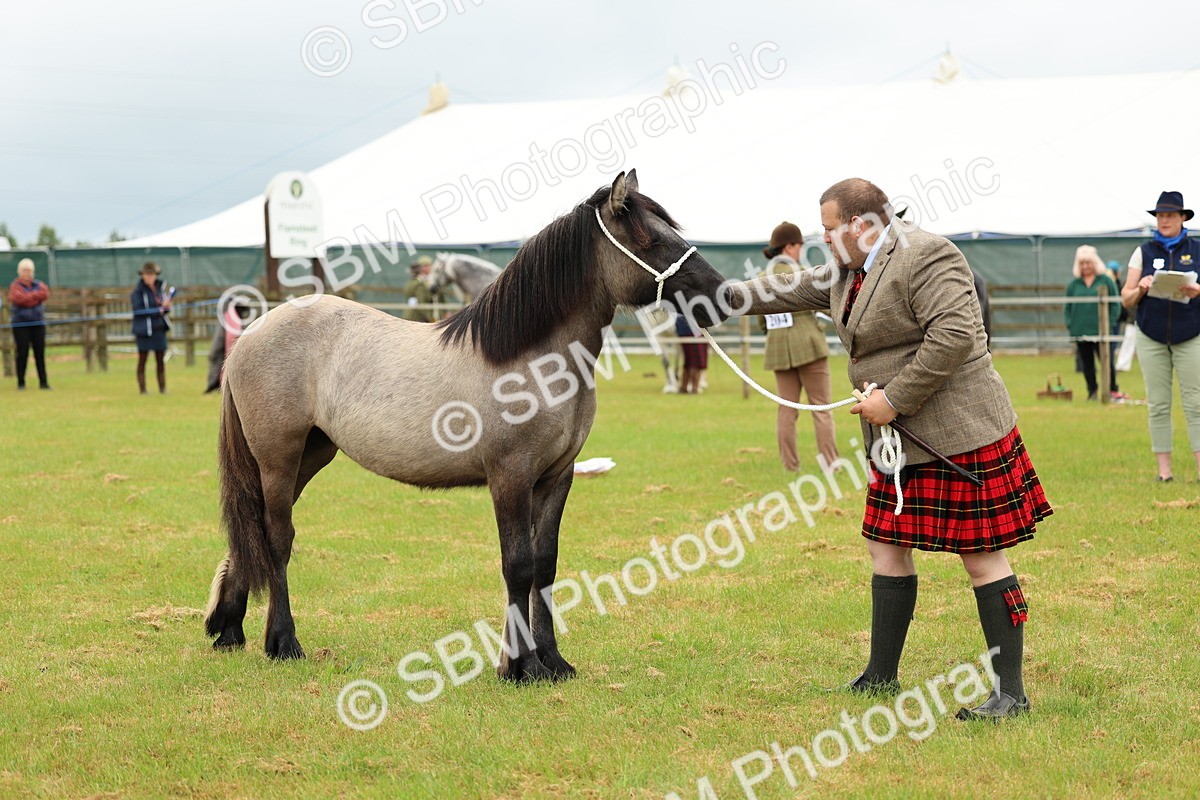 SBM_00411 - Class 58-67 - M&M Non Welsh Pony In hand