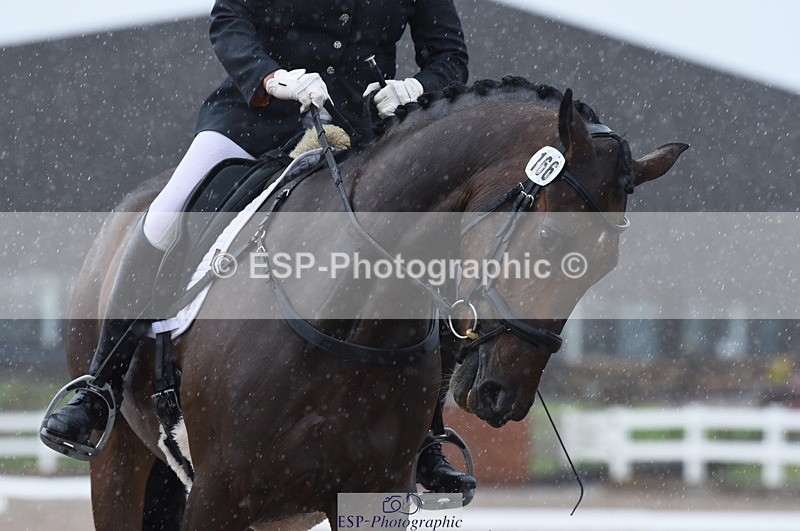 230708A-151858-03263 - Novice 24