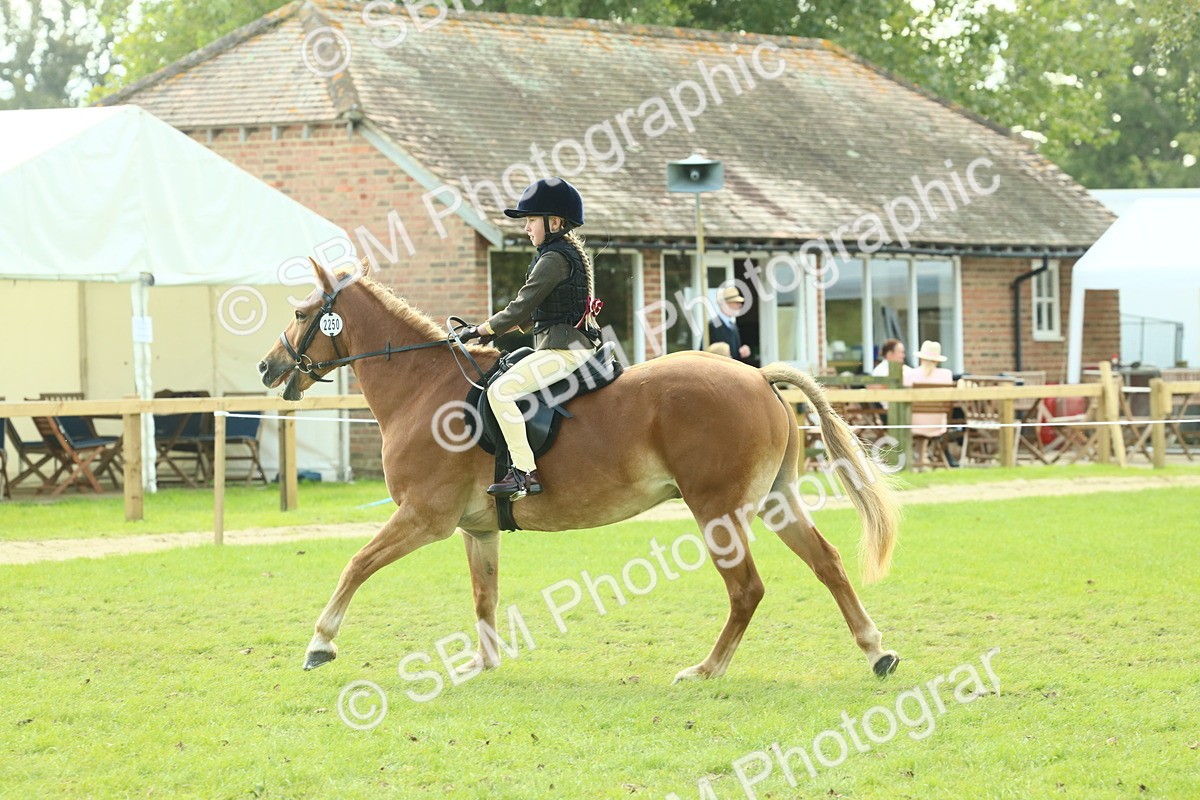 SBM_62431 - S62 - Foreign Breeds Ridden