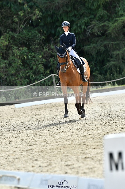 260802A-153215-07466 - Intermediate Bronze