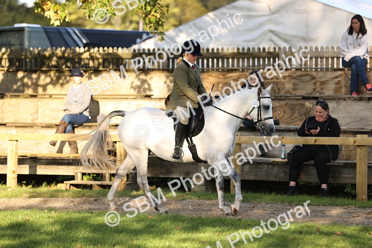 SBM_29598 - S7 - Novice & Newcomers Ridden Pony
