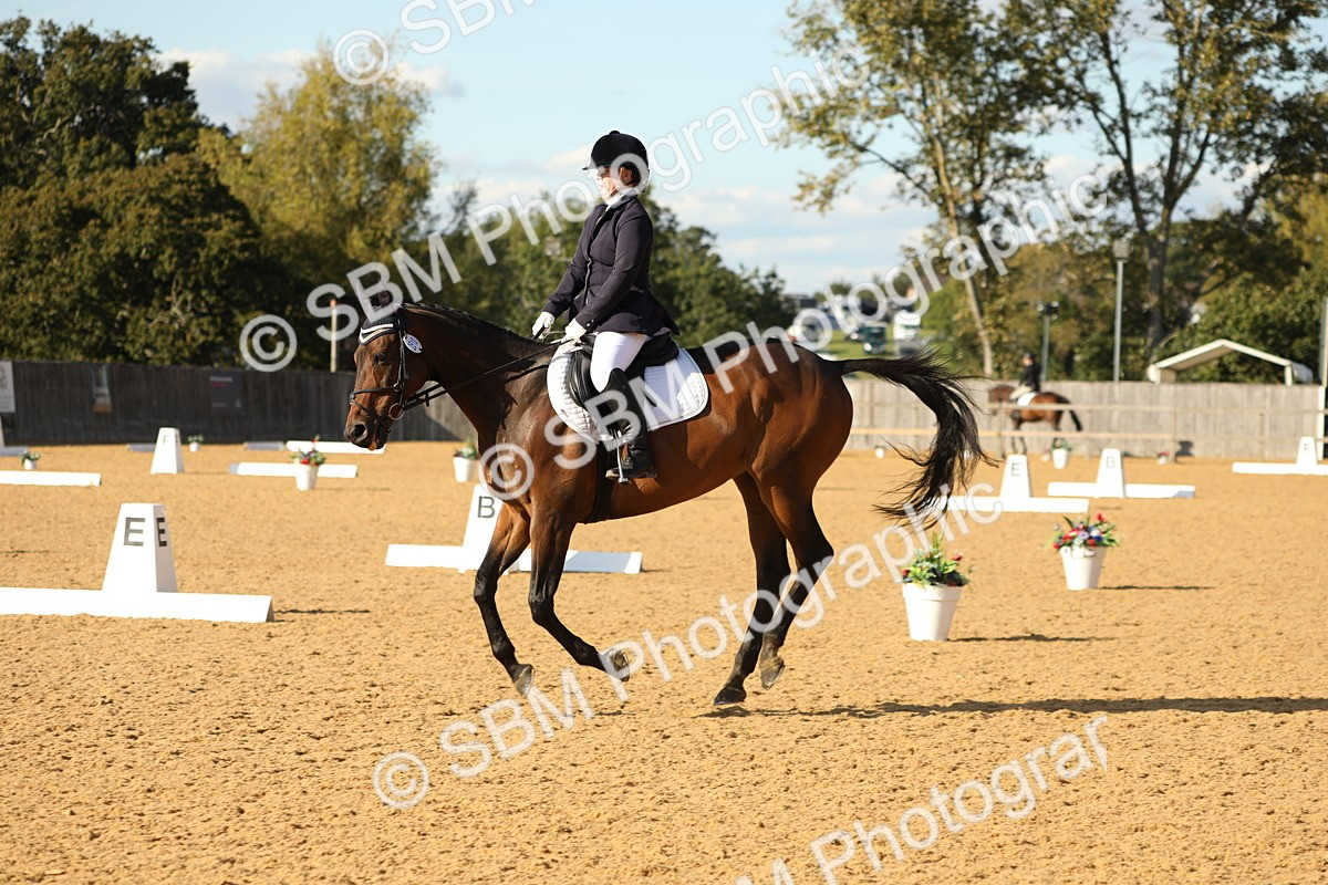 SBM_26972 - D17 - Grand Tour Championship - Novice 27