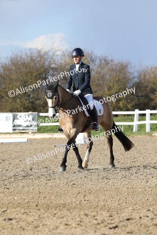 20260314-5863 - DR8 - Elementary 2