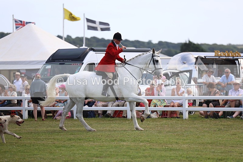 3E7A0229 - Parade of Hounds