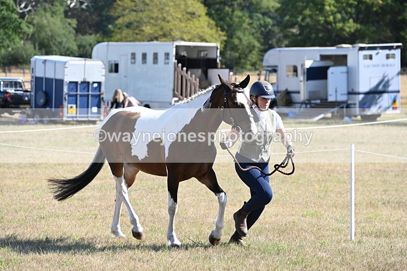 WJ6_4200 - Class 16 Condition & Turn Out