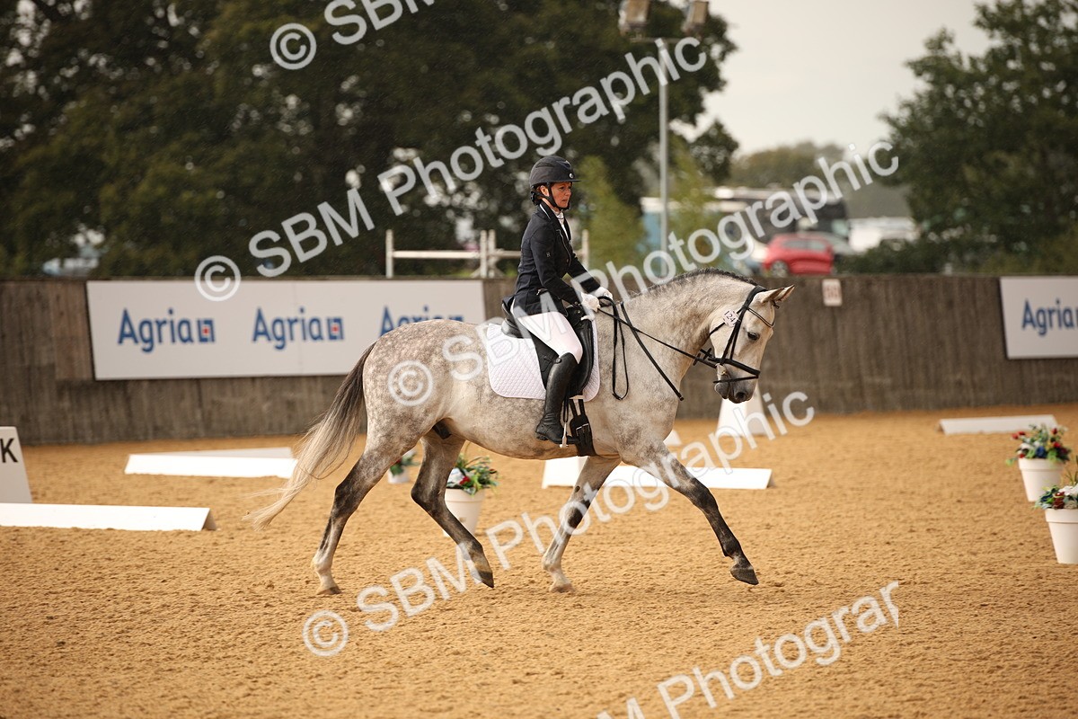 SBM_12353 - D3 Small  Tour Championship Intro A