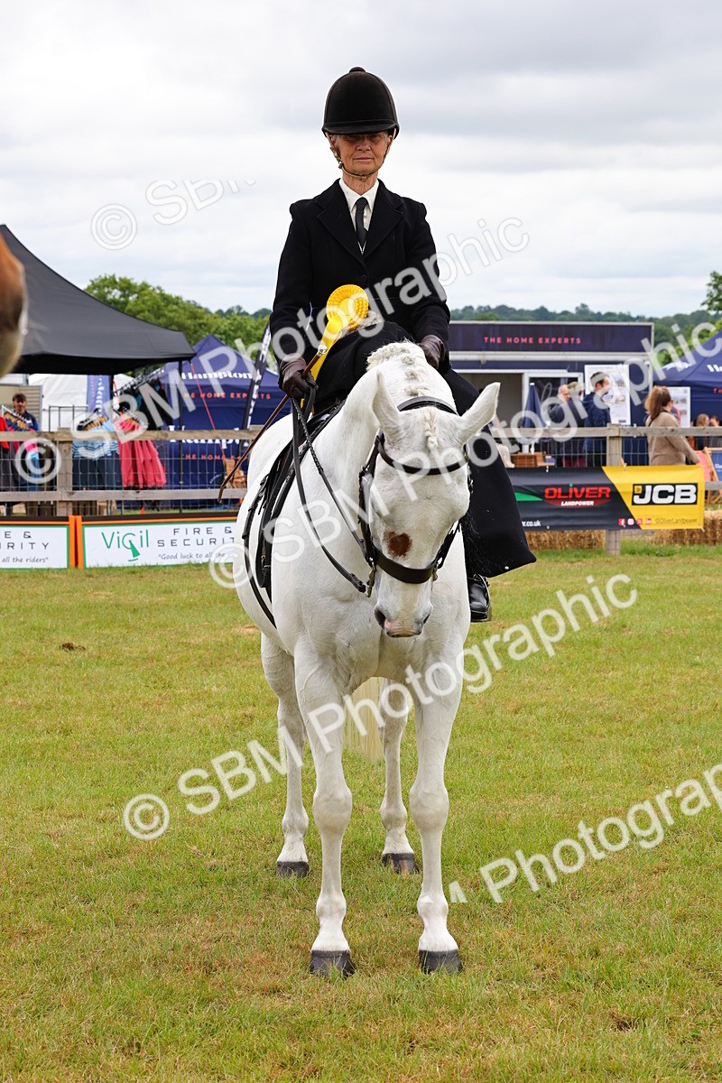 SBM_02976 - Class 9-11 Side Saddle including LIHS Rising Star Ladies Show Horse
